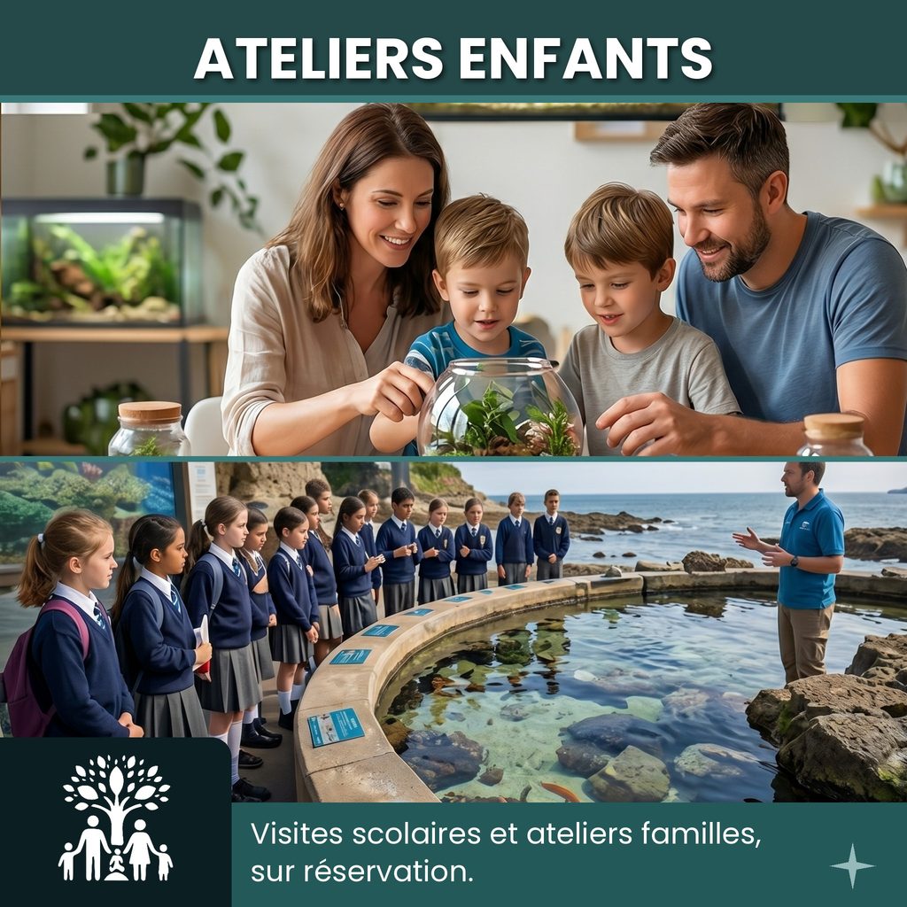   🎓 Visites scolaires : du mardi au vendredi, sur réservation
  👨‍👩‍👧 Ateliers familles : le week-end, sur réservation
  🔍 Découverte ludique, quiz nature et mini-terrariums