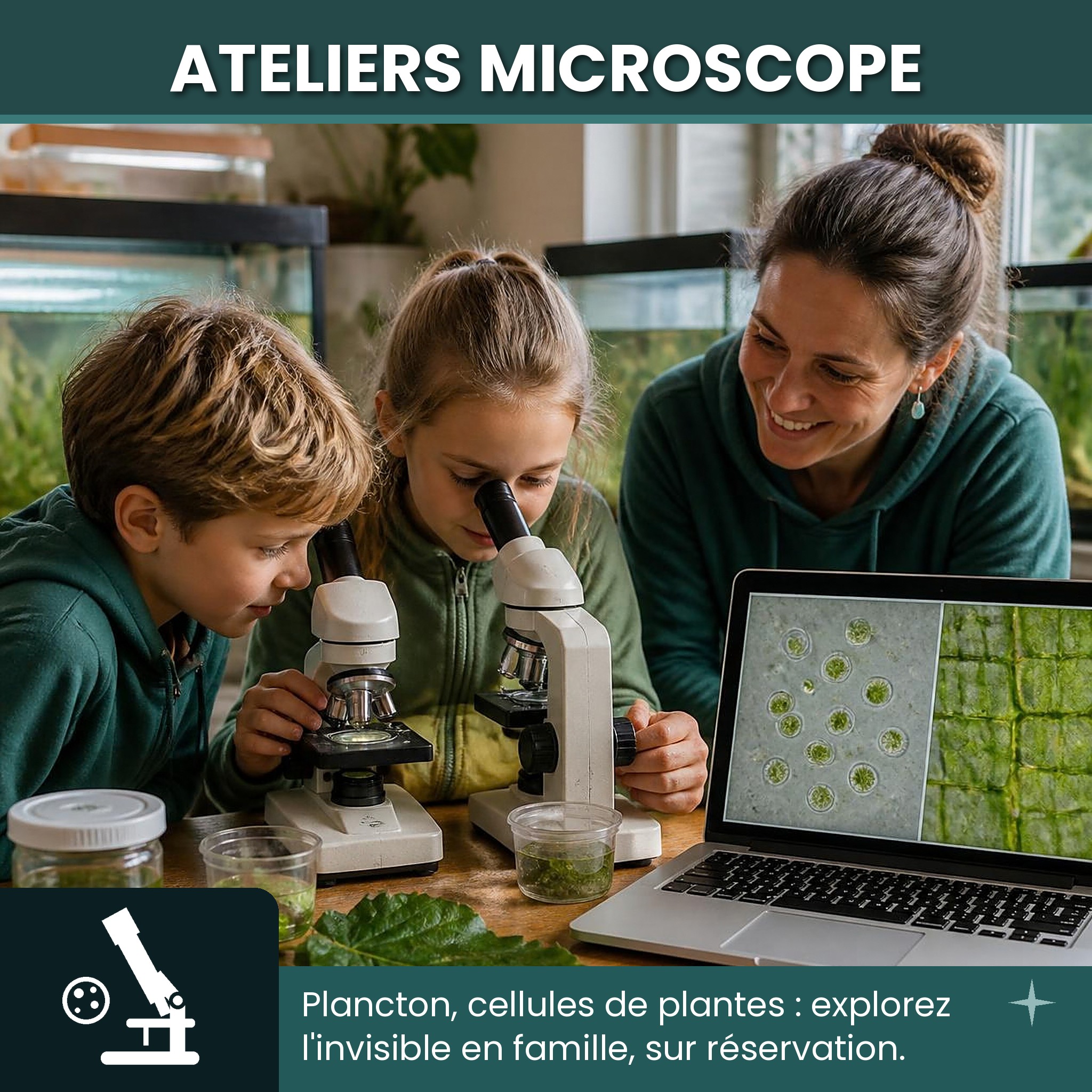    🔬 Plancton, cellules de plantes, micro-organismes de l'aquarium
   👨‍👩‍👧 Pour les enfants et les adultes curieux
   📅 Certains week-ends et en semaine, sur réservation